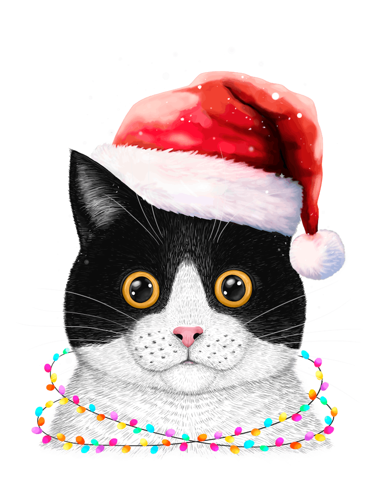 Weihnachtskatze