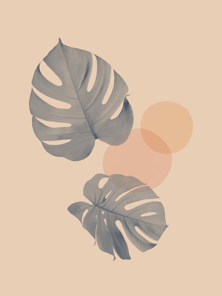 Harmonious floral composition 8