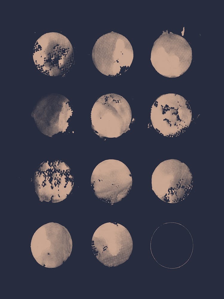 12 Moons