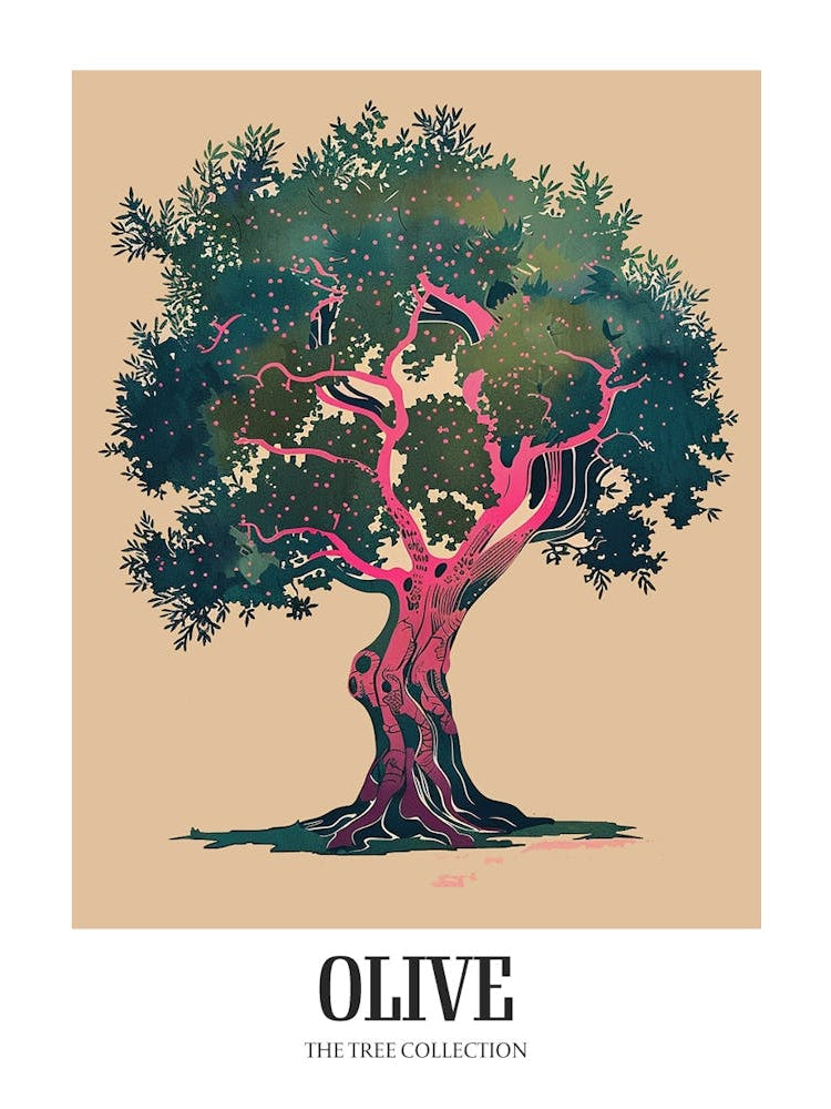Olive Tree Colourful Illustration 4 Poster