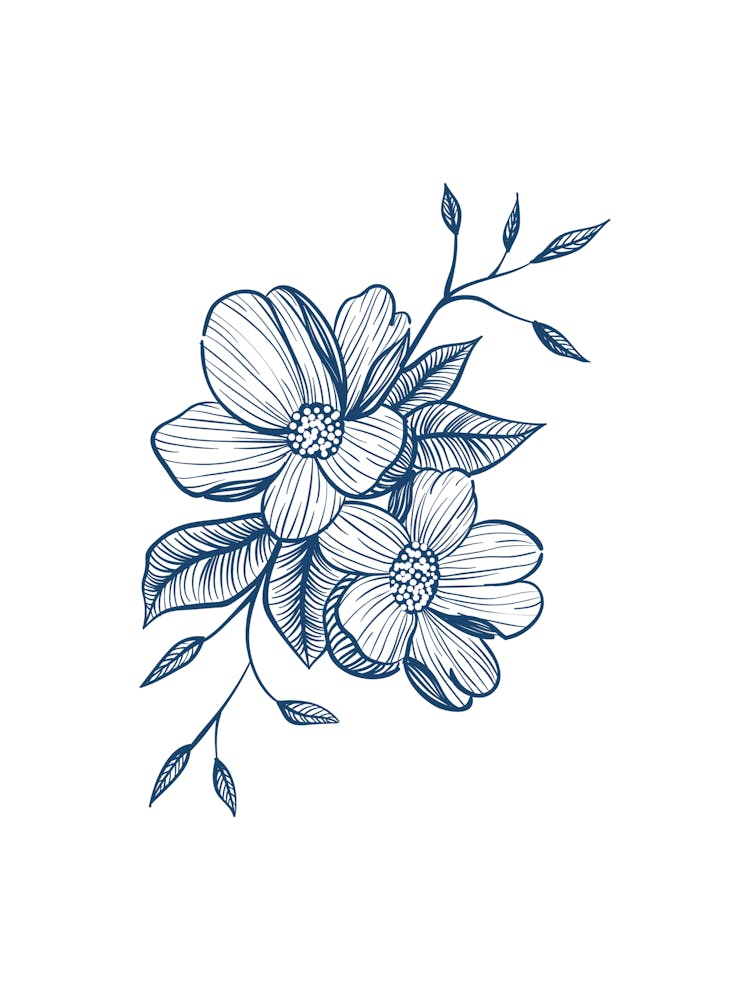 Hand Drawn Flowers