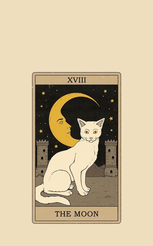 The Moon    Cats Tarot