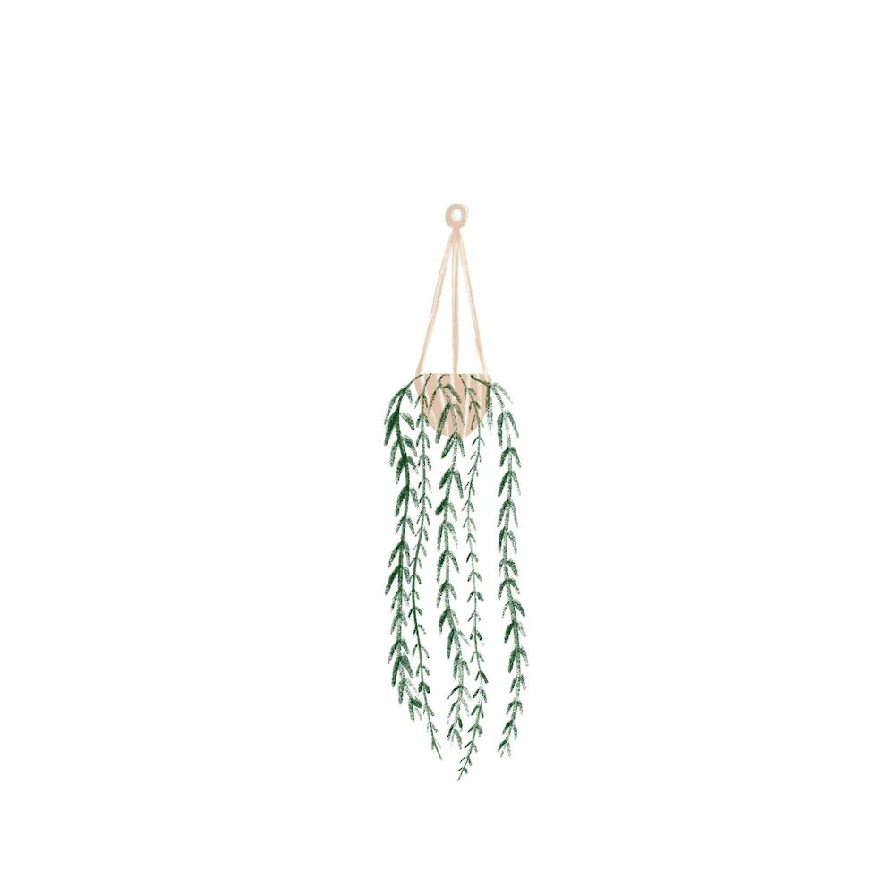 Plant Hanger Square