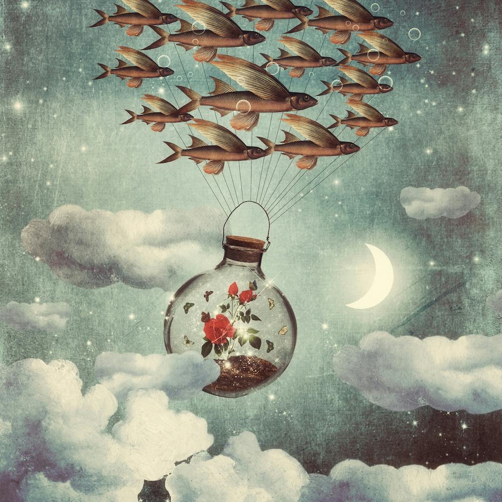 The Rose that Wanted to See the World