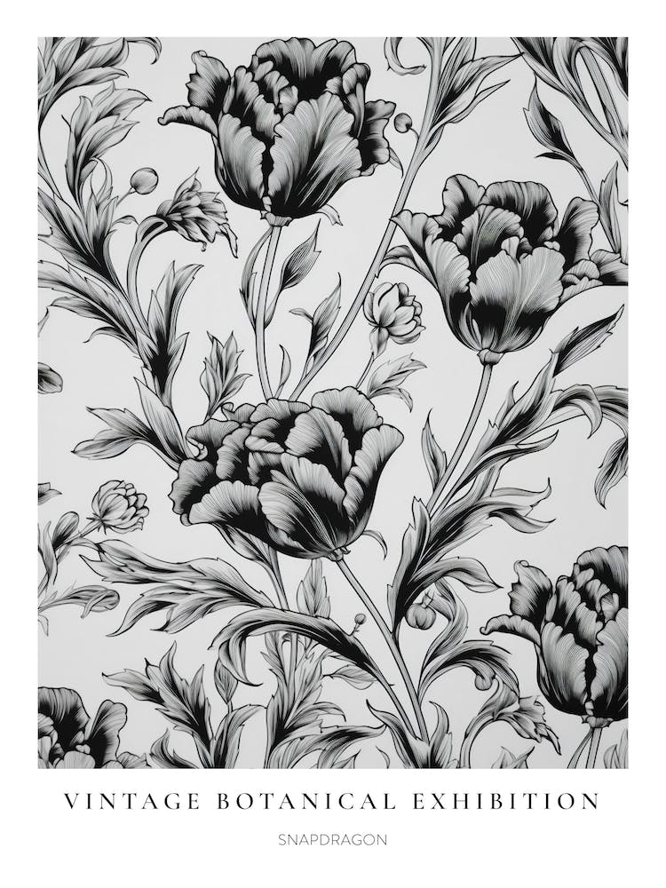 Snapdragon B&W Vintage Botanical Poster