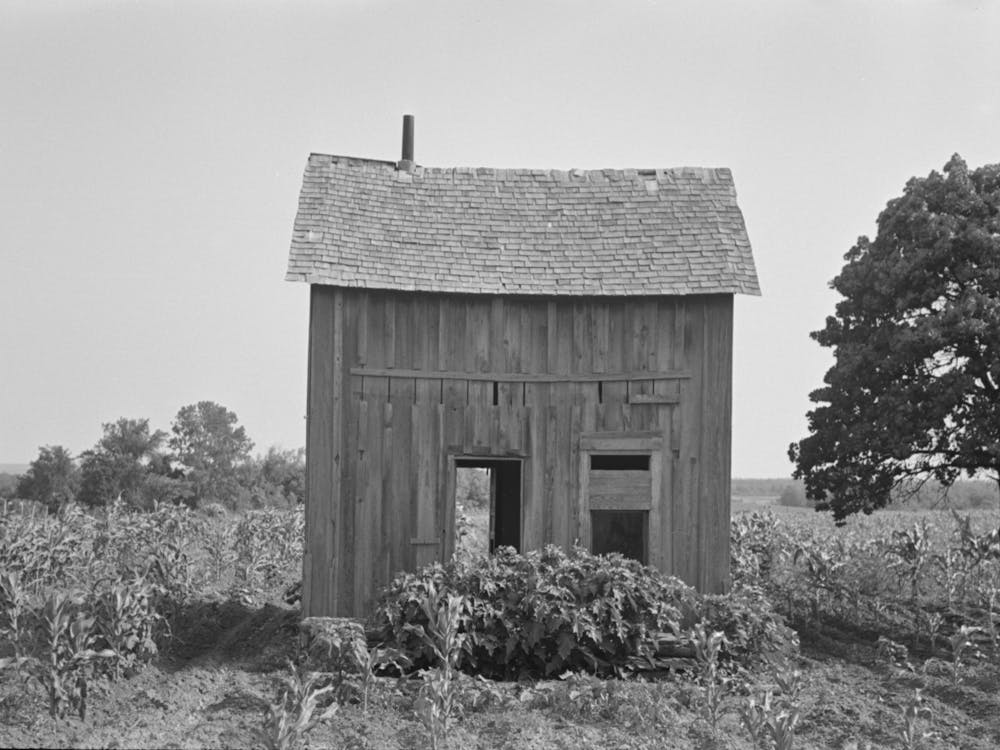 Abandoned House, Surrounded By Growing Corn, Mcintosh Co,Oklahoma By Russell Lee