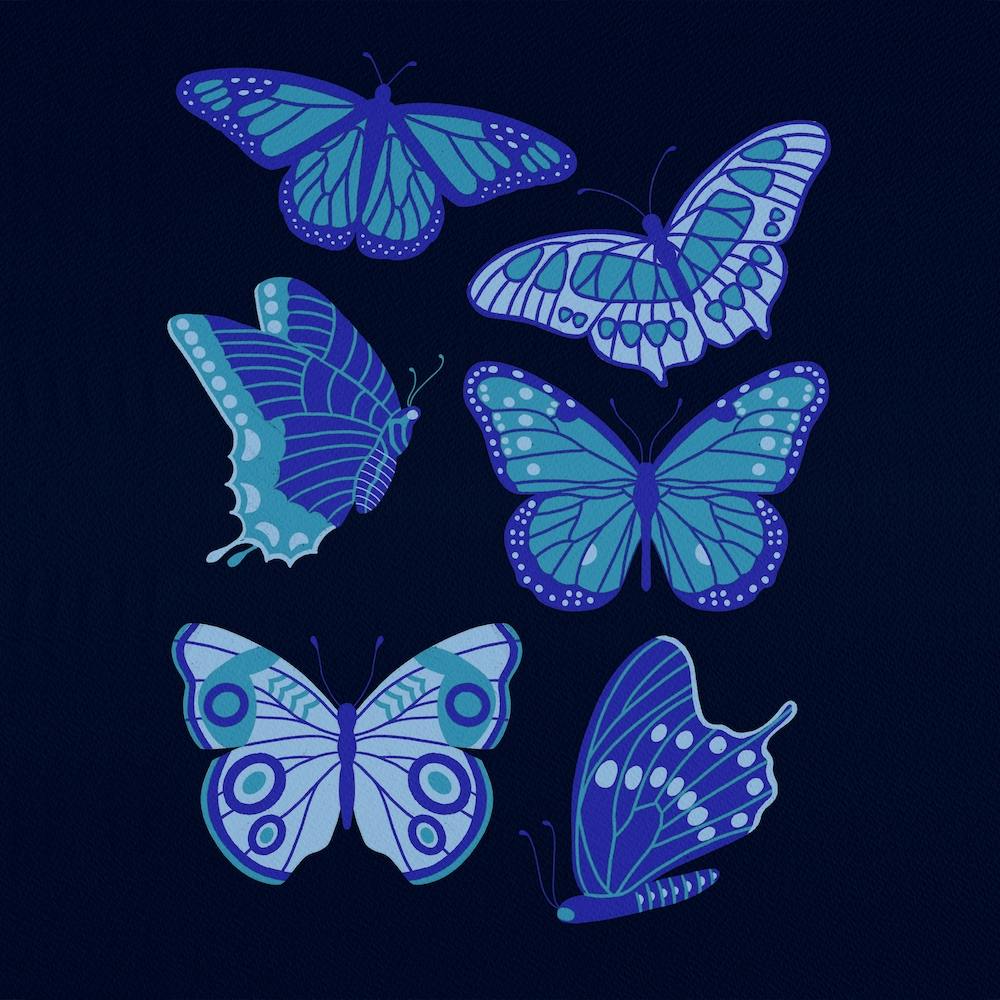 Texas Butterflies   Blue On Navy Square