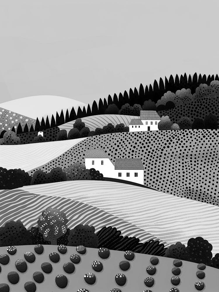 Black And White Landscape