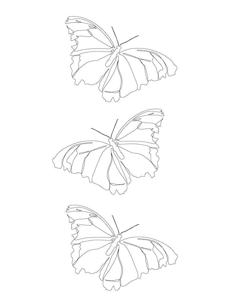 Three Butterflies