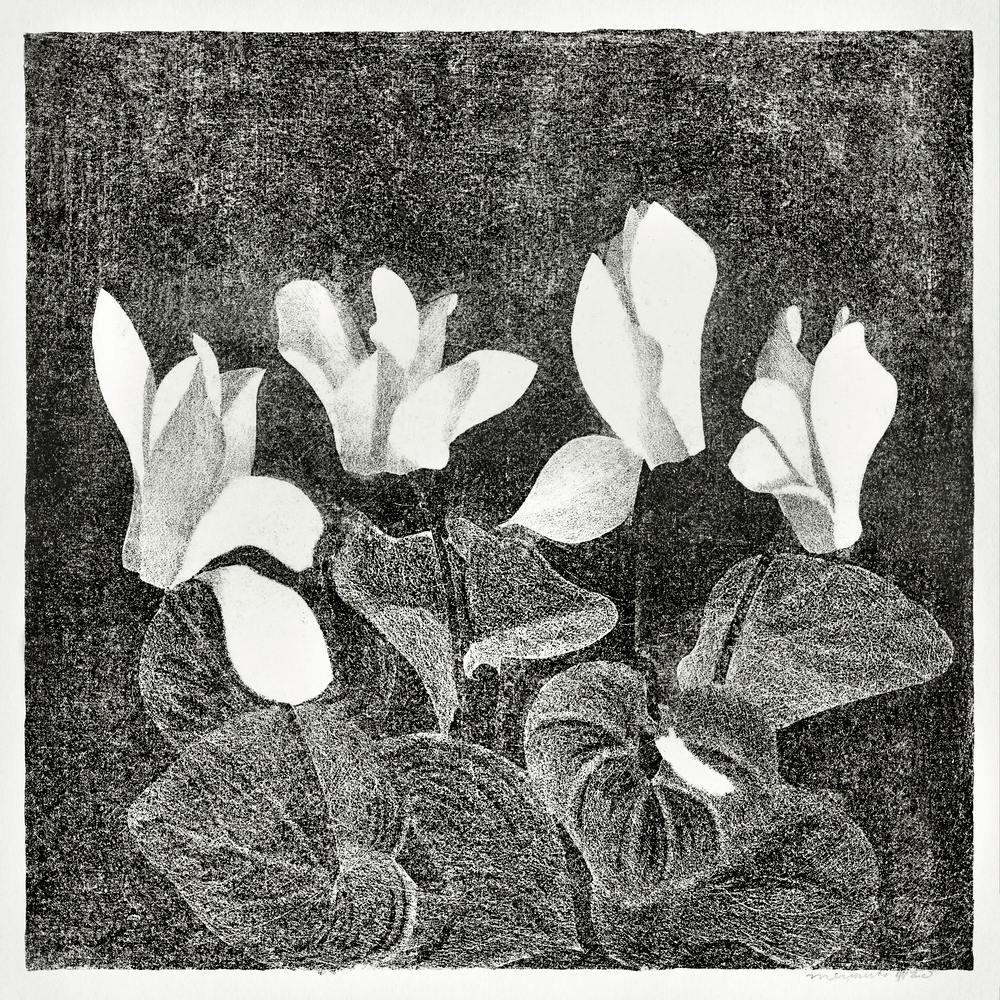 Cyclamen (1920), Samuel Jessurun