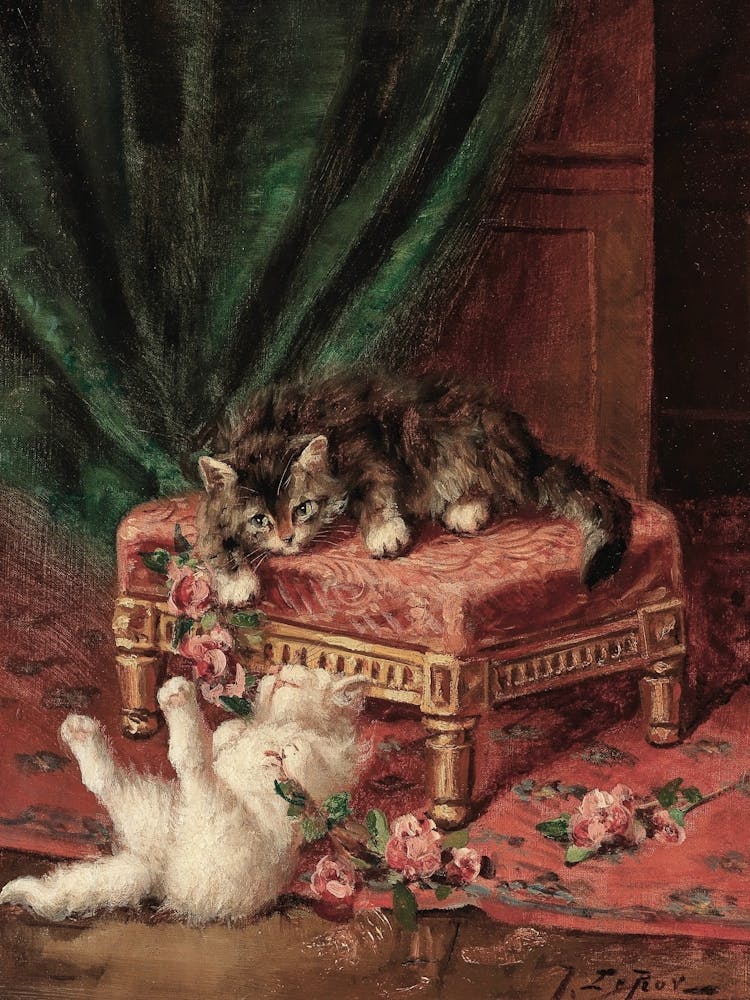 Two Cats Playing On A Couch