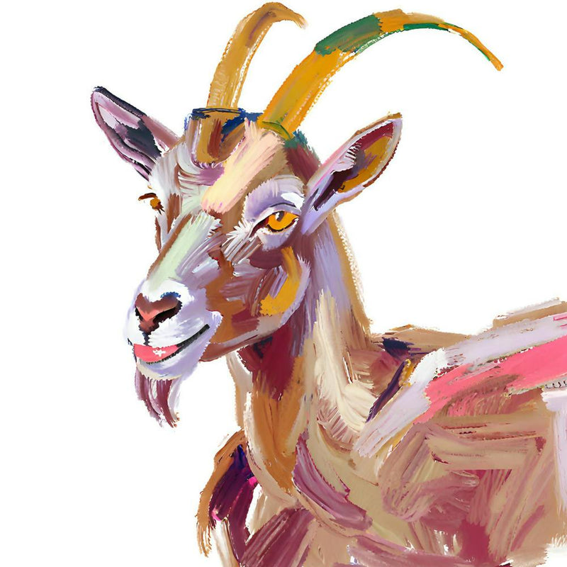 Goat 07