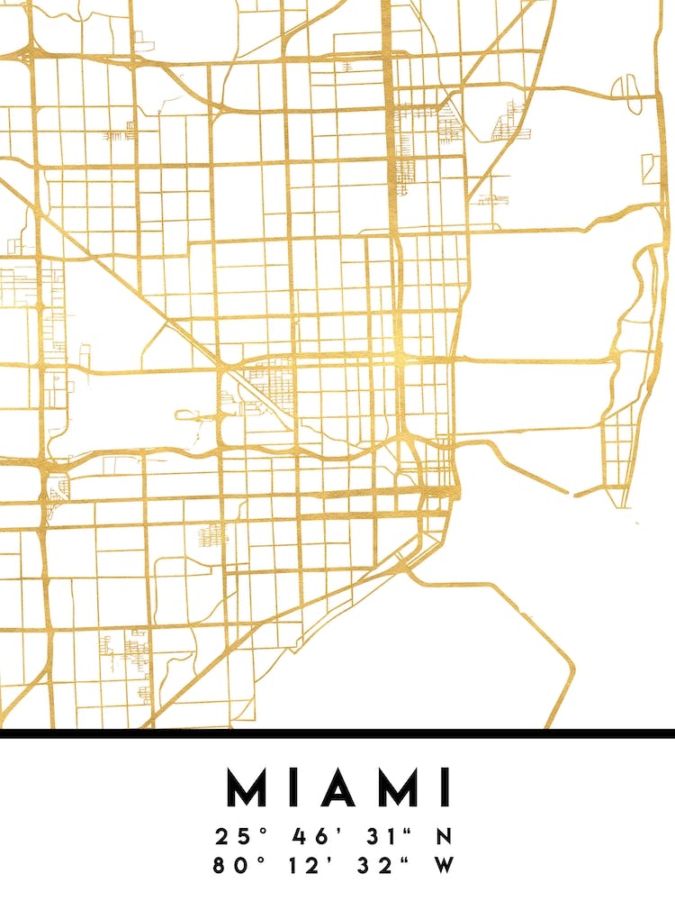 Miami Florida City Street Map