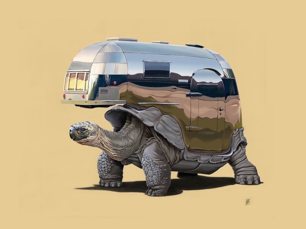 Pimp My Ride (Colour)