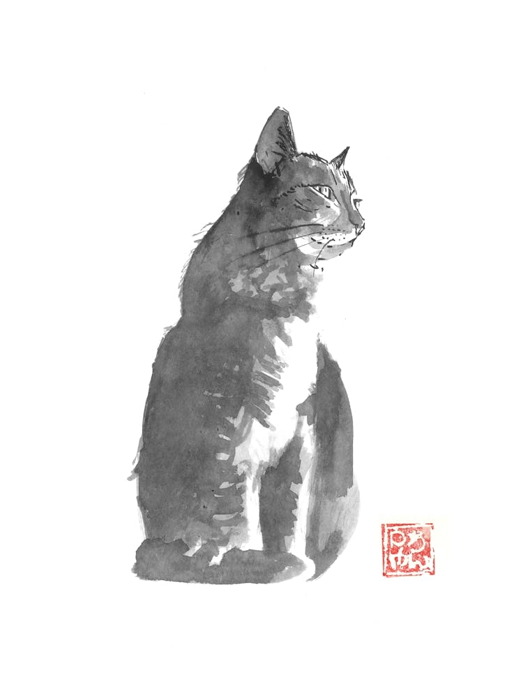 Grey Cat