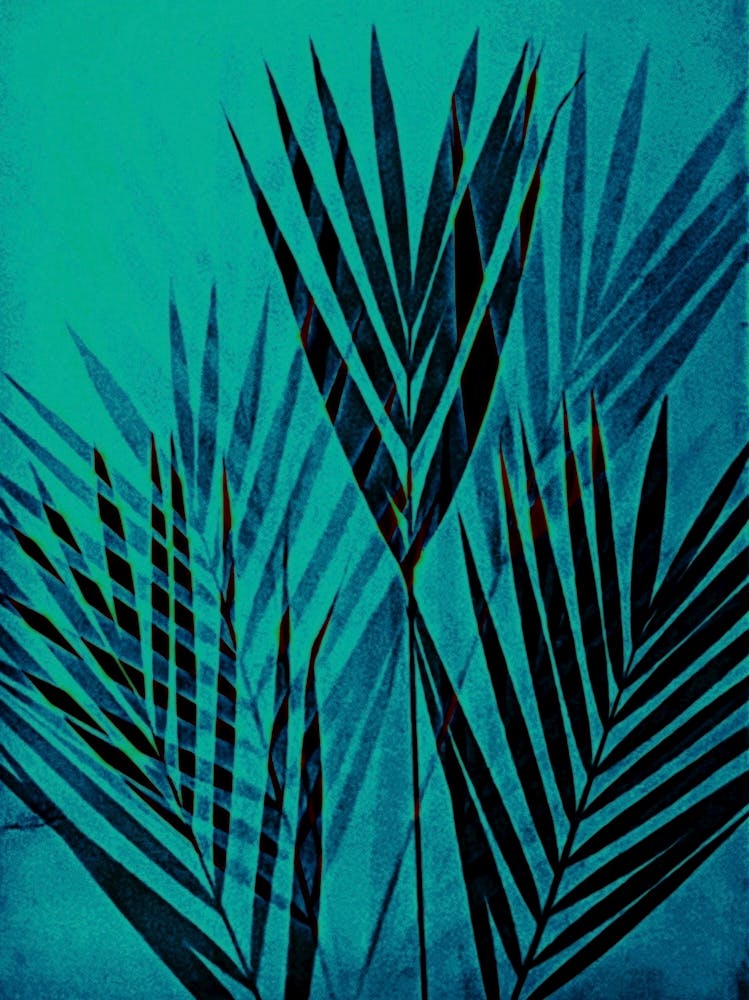 Turquoise Palm Leaves
