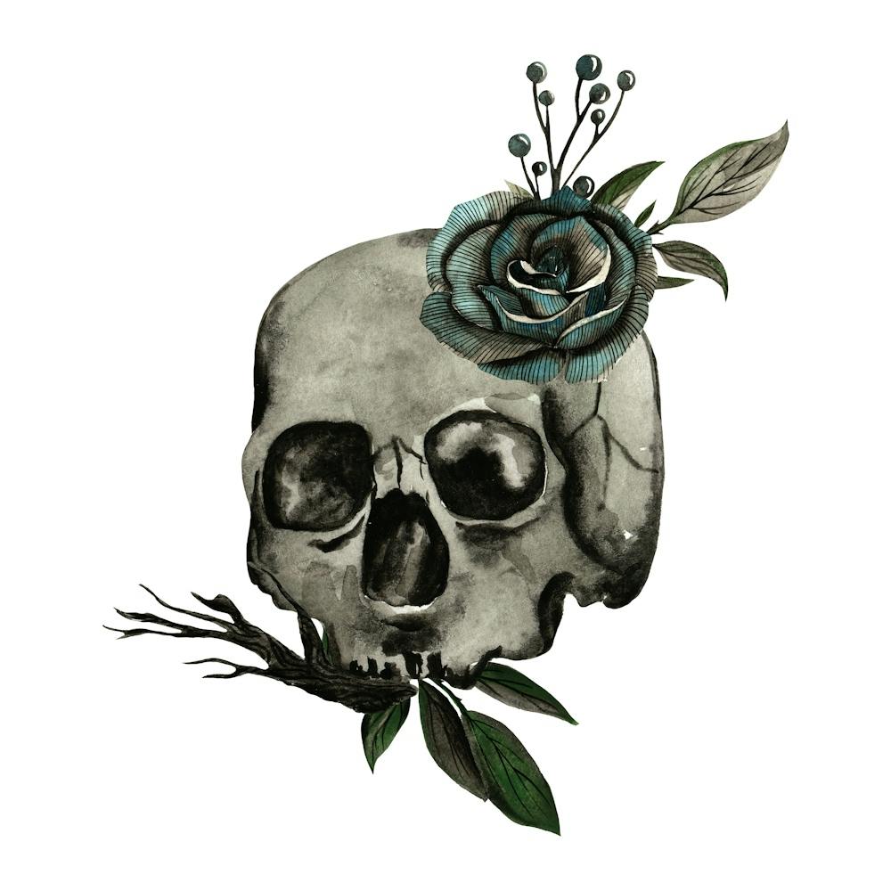 Dark hand drawn gothic skull and black rose