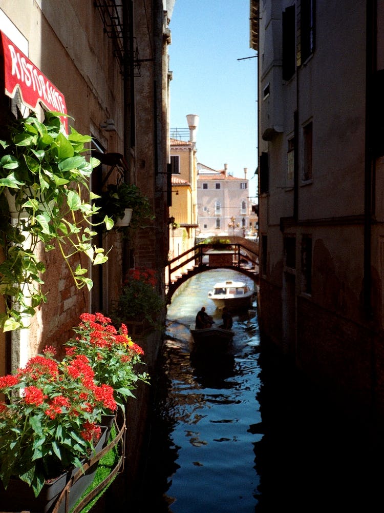 Venezia