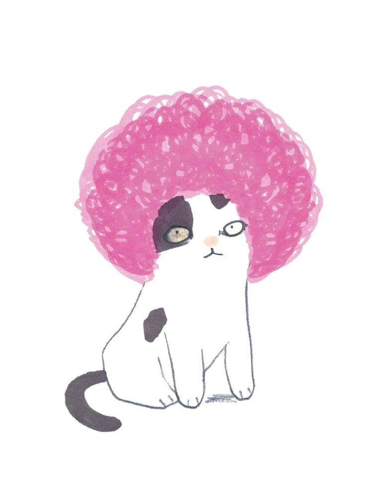 Cat With A Pink Wig
