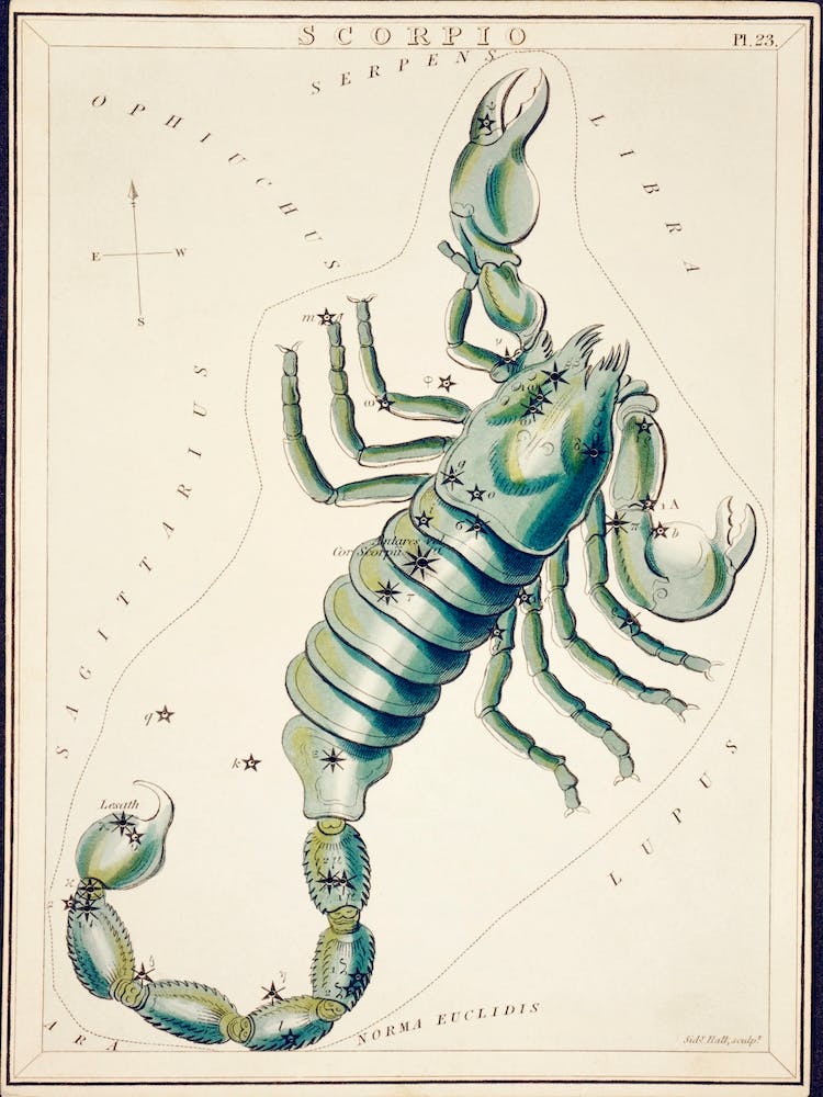 Sidney Hall’s ( 1831 1