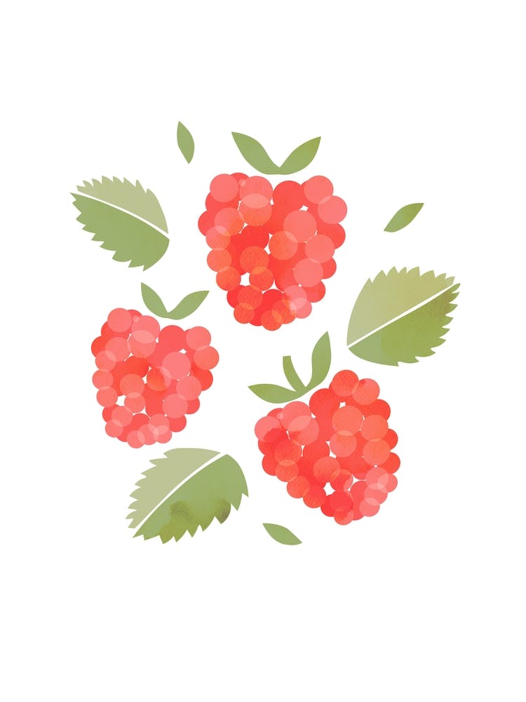 Framboise Fruit Coloré Art Culinaire Mur de Crèche