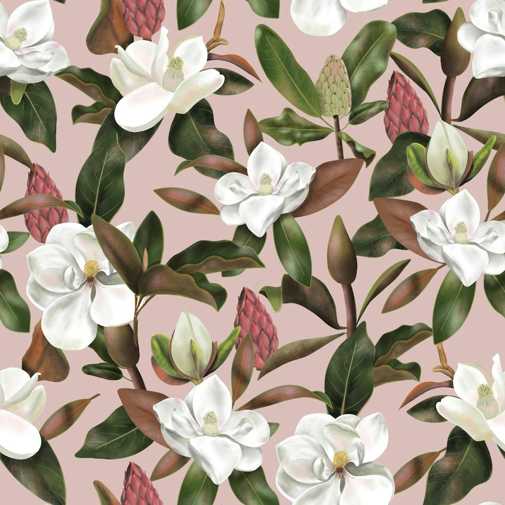 Magnolias Flowers Pink