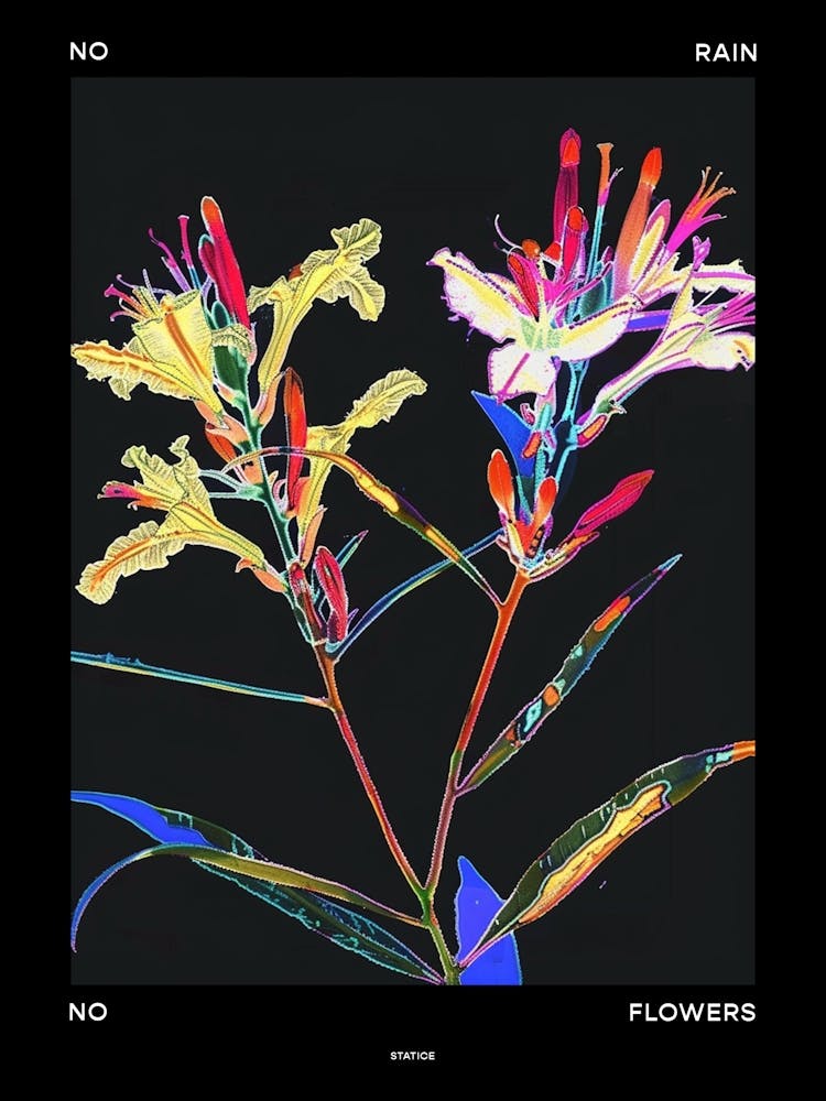 No Rain No Flowers Poster Statice 3