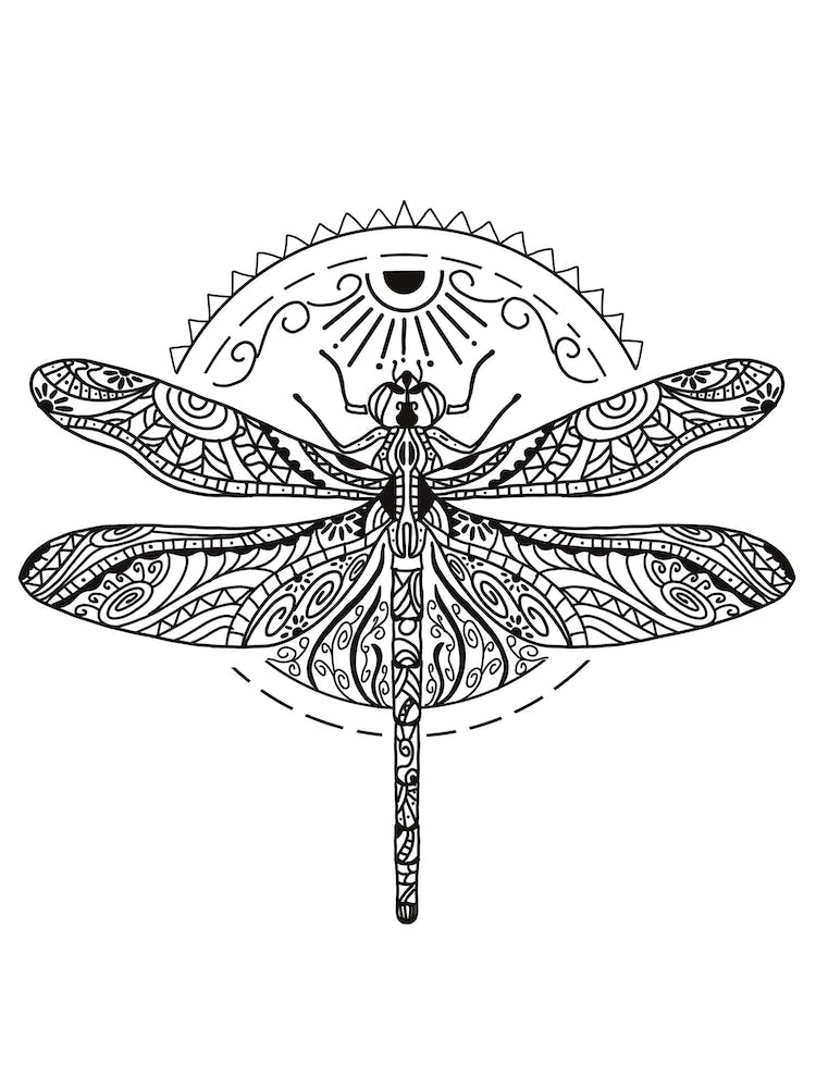 Vintage  Decorative Dragonfly
