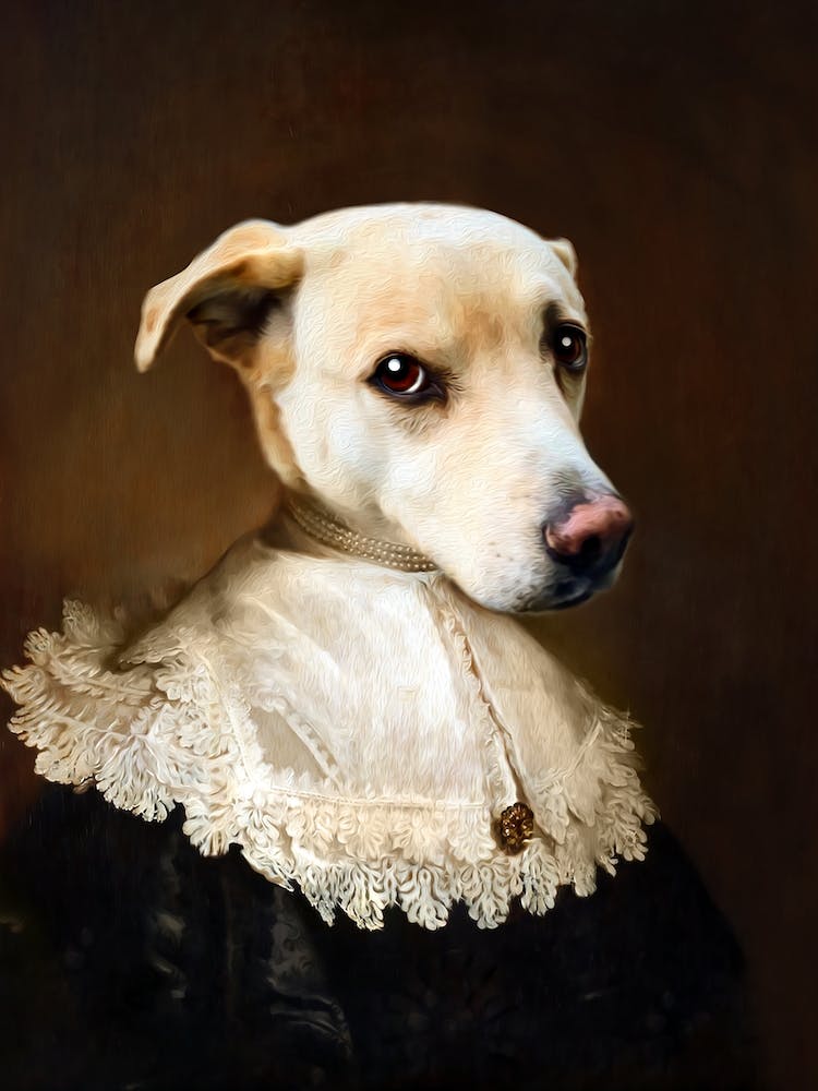 Loyal Fidele The Dog Pet Portraits