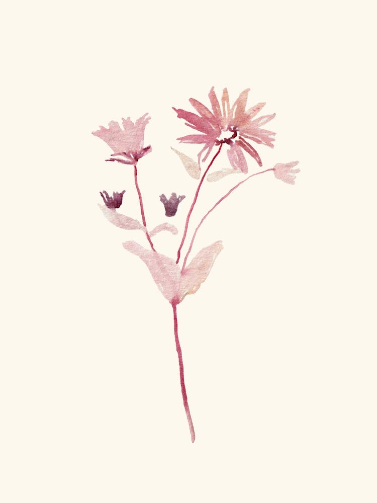 Wildflower