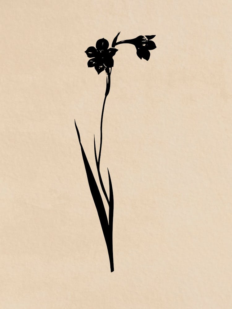 Daffodils