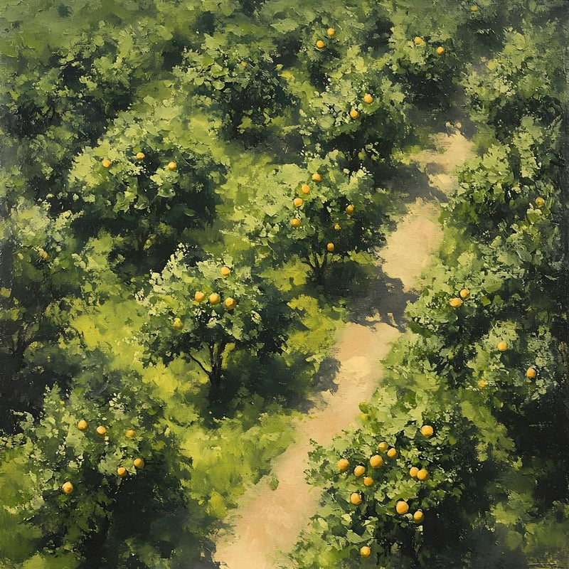 Apple Orchard 1