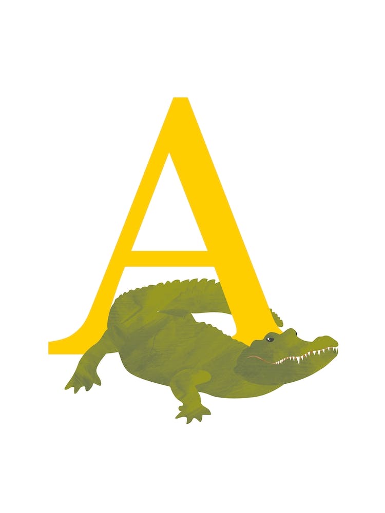 A For Alligator
