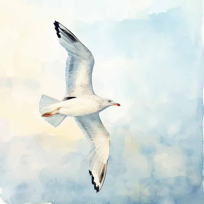 Libre dans le Ciel