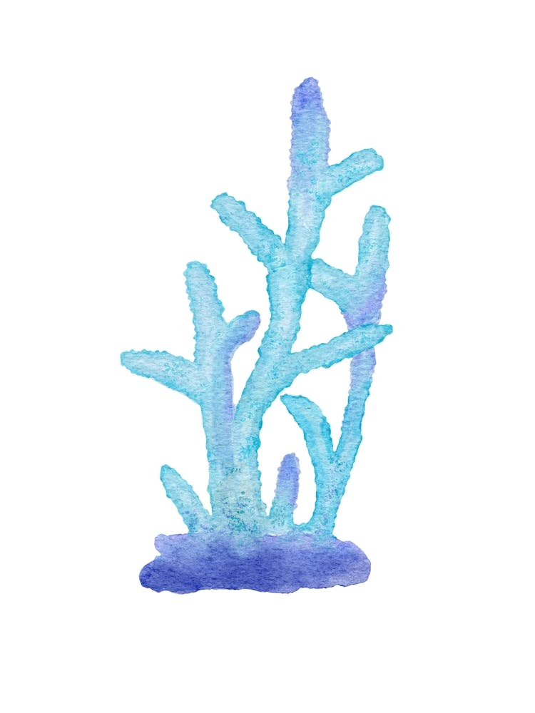 Watercolor Coral