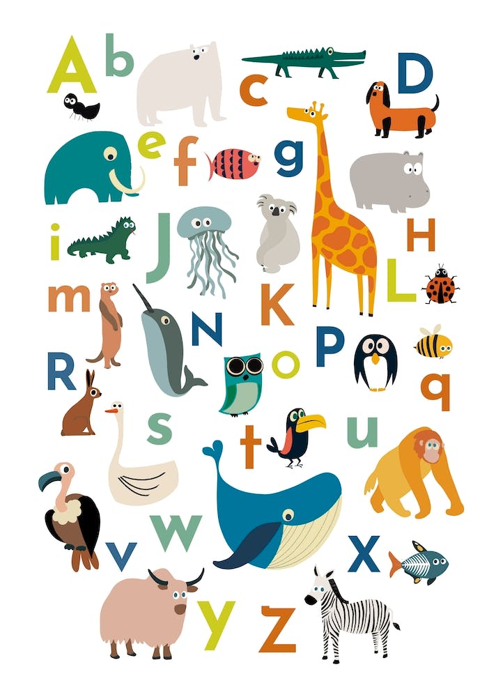 Animals Alphabet