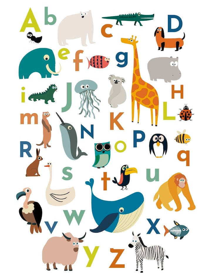 Animals Alphabet