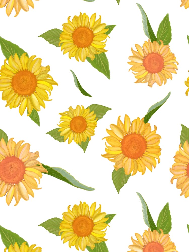 Sunflower Summer Time