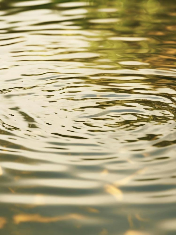 Wasserwellen 5