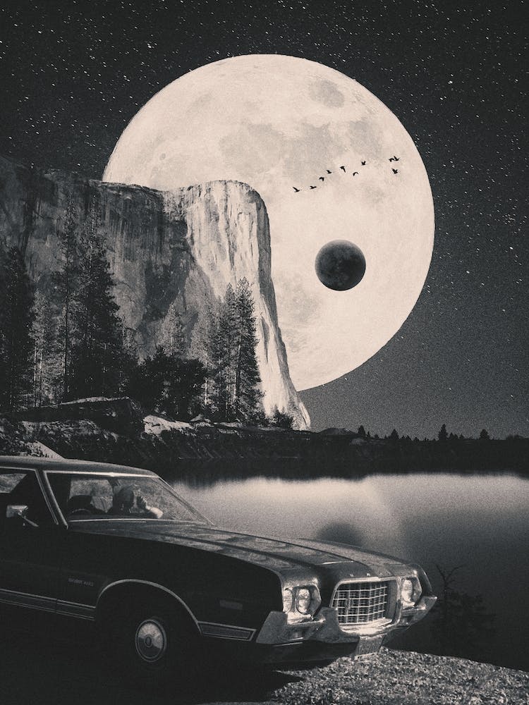 Surrender To The Night