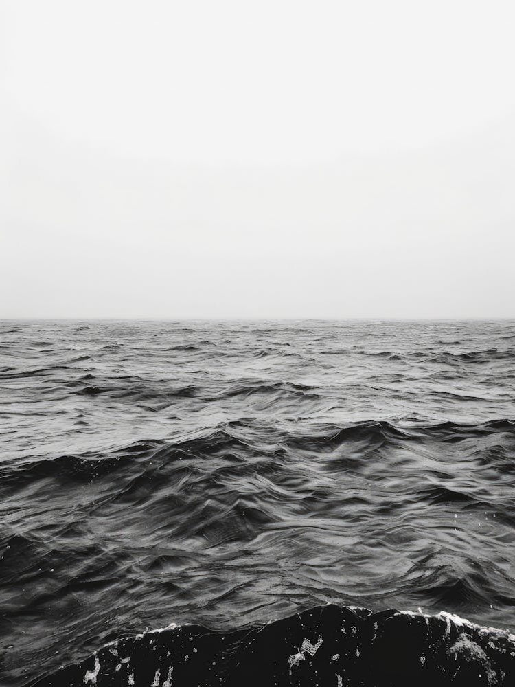 Ocean In Black And White