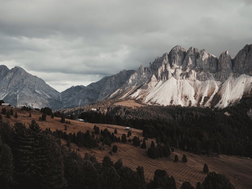 Rustic Colorado Views