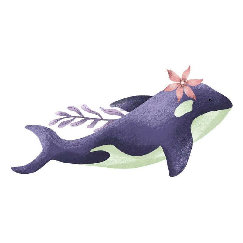 Ocean creature