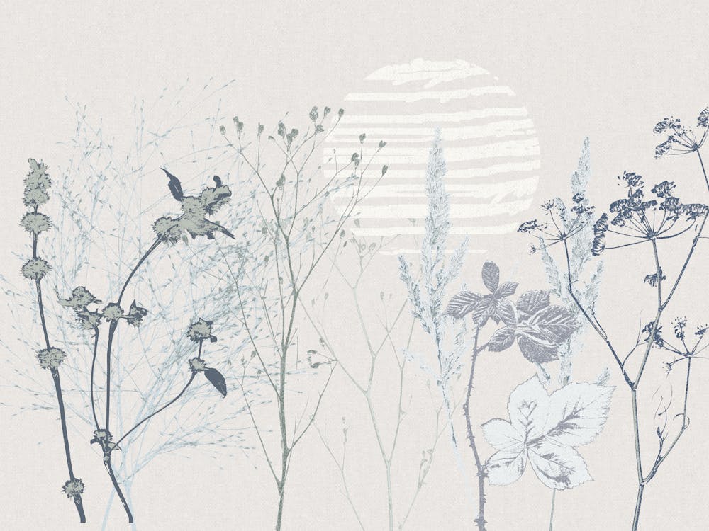 Plant based calming atmosphere soft blue