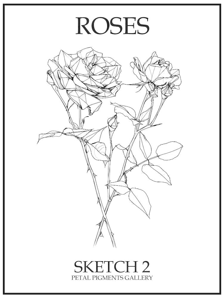Roses Sketch 2 Poster