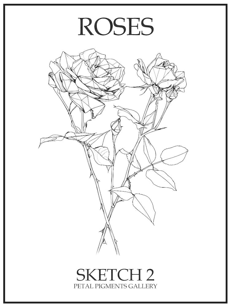 Roses Sketch 2 Poster