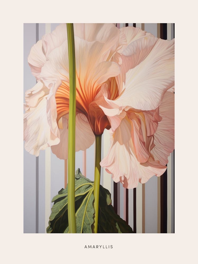 Flower Illustration Amaryllis 4 Poster