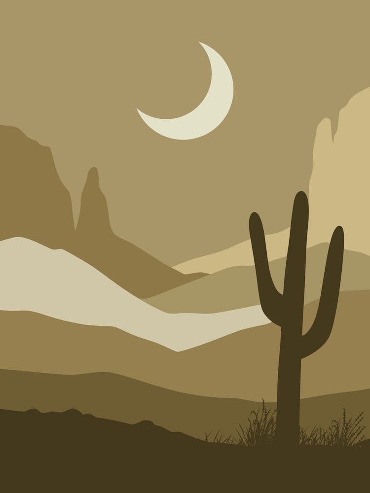 Cactus In The Desert 29