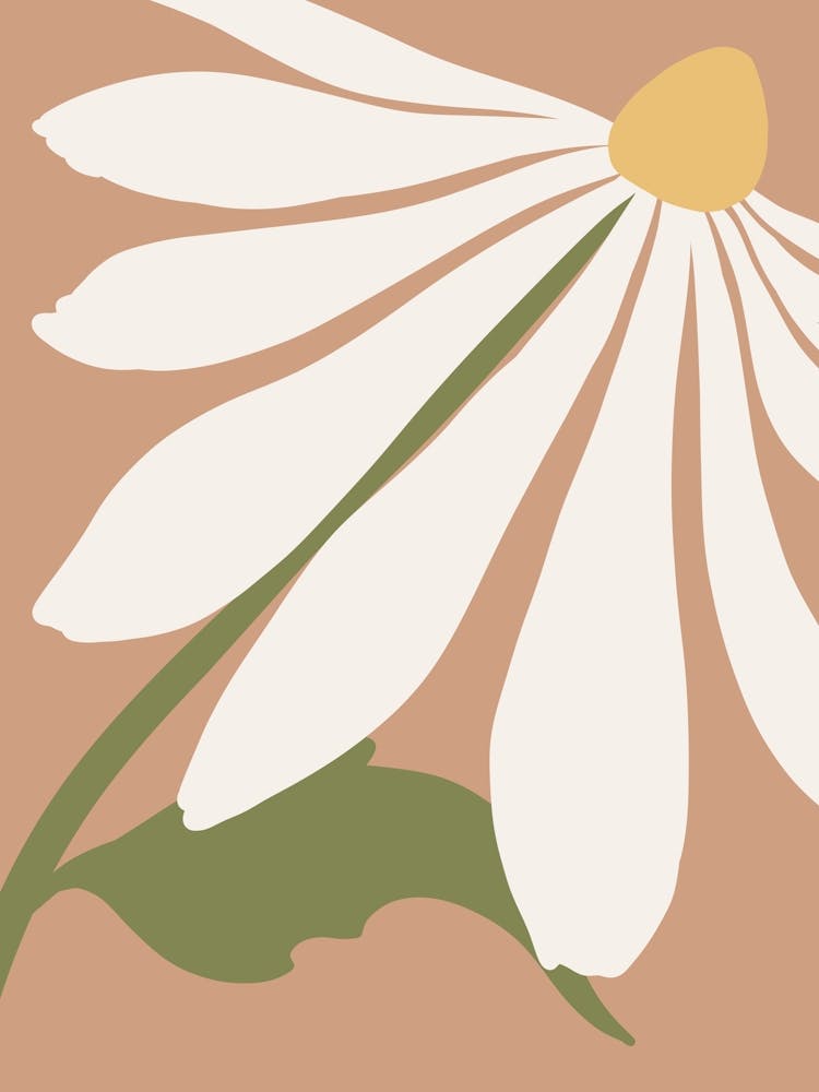 Daisy 6