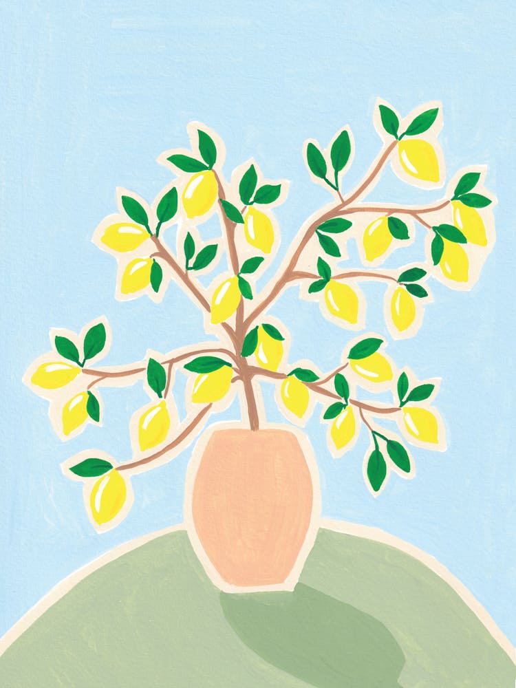 Zitronenbaum